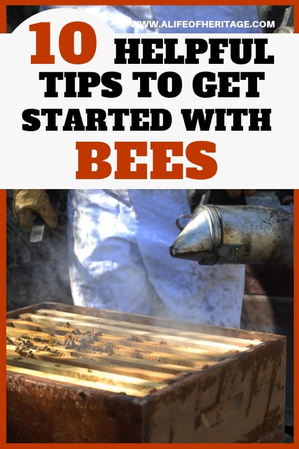 Beekeeper smoking his hive and thinking about 10 helpful tips to get started with bees