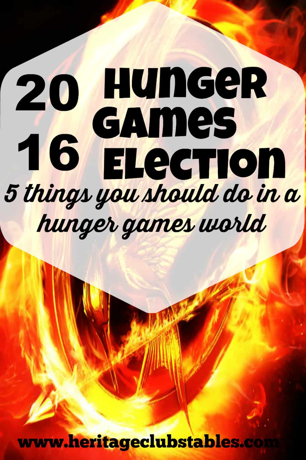 2016 Hunger Games Election