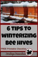 Bees | Winterizing beehives | Bees in the Winter | These 6 tips to winterizing bee hives will give you and your bees the boost they need to get through the winter months into spring and blooming flowers!