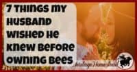 Go kiss your wife, she deserves it. And so do you, for spoiling your wife with a hive of bees. 7 things you wished you had known before owning bees. 