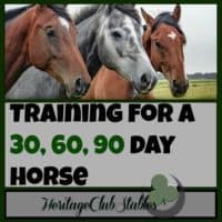 Horses | Horse Training | Horse Care | "What should a horse know by the end of 30 days?" Print out this helpful, FREE printable: The 30 60 90 day horse to give you a training starting point.