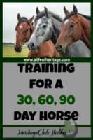 Horses | Horse Training | Horse Care | "What should a horse know by the end of 30 days?" Print out this helpful, FREE printable: The 30 60 90 day horse to give you a training starting point.