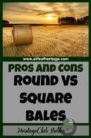Horses | Horse Care | Horse Hay | Hay for Livestock | Explore pros and cons of feeding square bales verses round bales. Think through the different options to see what's best for you!