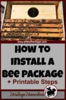 Bees | Bee Care | How to Install a Bee Package | Learn a great way on how to install a bee package! Print out a FREE PDF step-by-step guide. Join me, an average individual like yourself, in this adventure!