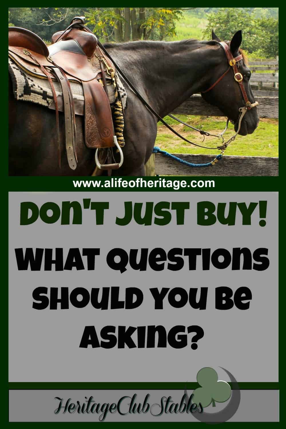 Consider These Questions When Buying a Horse HCS