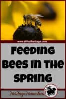 Bees | Bee Care | Feeding Bees | Bee How to | Feeding bees in the spring. What do you do with the bees you wintered? That's a really good question and I hope to help you out with the answers.