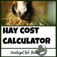 Horses | Horse Care | How to Horses | Use this FREE hay cost calculator to find out how much it will cost you to feed your horse for the year. Get a handle on how much it can and will cost.