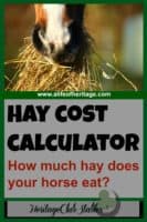 Horses | Horse Care | How to Horses | Use this FREE hay cost calculator to find out how much it will cost you to feed your horse for the year. Get a handle on how much it can and will cost.