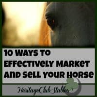 Horses | How to sell a horse | Tips to sell a horse | These 10 ways to effectively market and sell your horse are helpful and effective! Horses | Selling Horses | How to sell a horse | Take the guess work out of how to sell your horse!