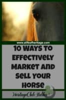 Horses | How to sell a horse | Tips to sell a horse | These 10 ways to effectively market and sell your horse are helpful and effective! Horses | Selling Horses | How to sell a horse | Take the guess work out of how to sell your horse!