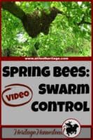 Bees | Bee Care | Bee Swarm Control |Print off this FREE printable to help you manage your hives in the spring to help prevent swarming. Bee swarm control is easy and effective.