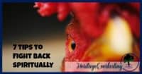 Spiritual encouragement | Christian Living | Spiritual warfare | 7 tips to fight back spiritually. Don't be a chicken. Learn what it takes to be a spiritual force so you aren't knocked down again and again.