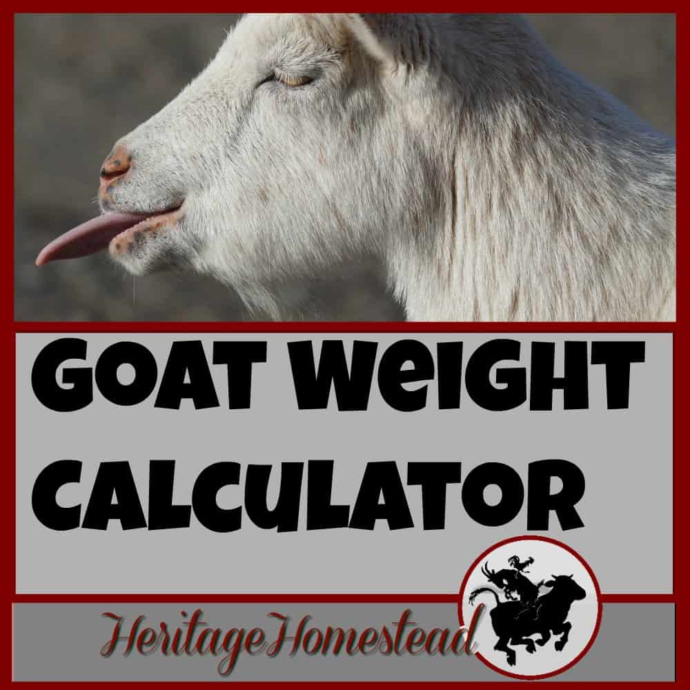 goat weight 4 easy ways to weigh a life of heritage goat weight chart