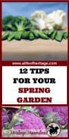 Spring Vegetables | Spring Gardening | Spring garden ideas | No till gardening | Gardening | Garden Ideas | Spring planting guide | Prepare your garden | 12 tips on how to prepare, plant and care for your spring vegetables. The health of your vegetables is in the health of your soil.