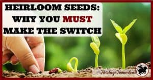 Heirloom seeds are the key to our future. 9 reasons you should plant heirloom and the truth about how much they really cost. Recommendations where to buy