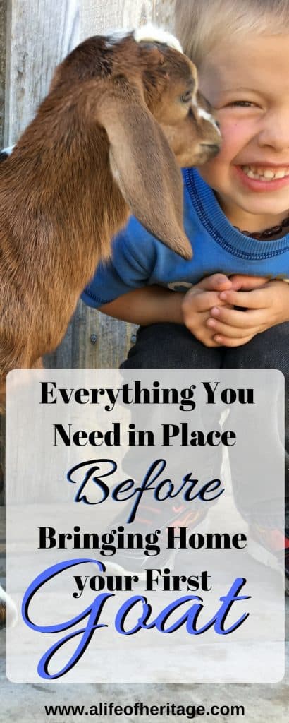 Before bringing home your first goat: before your goats get settled, you can compile this list (and more) to keep your goats happy and healthy!