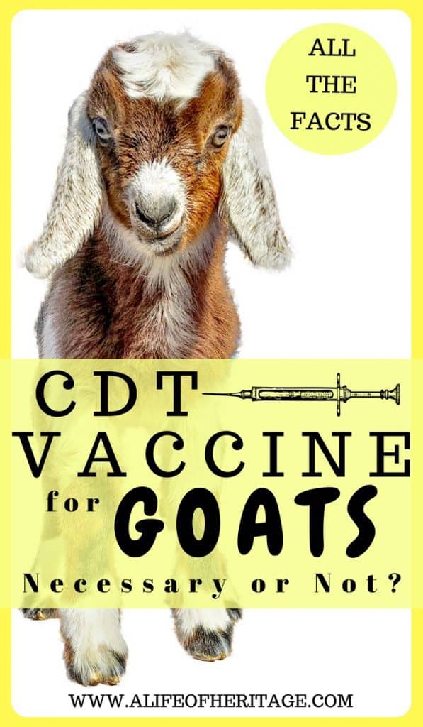 CD&T Vaccination for Goats: Necessary or Not? | January 2020