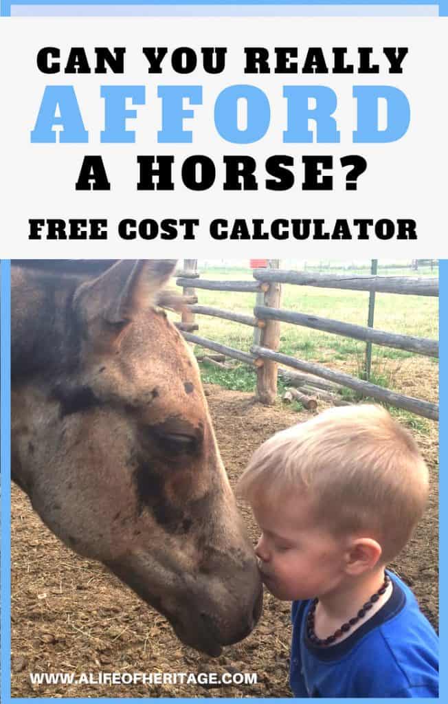 Horses and horse care can get expensive! This horse cost calculator will help you determine if you can afford a horse. And if you already own horses it will give you an idea of what you are really spending each month. 