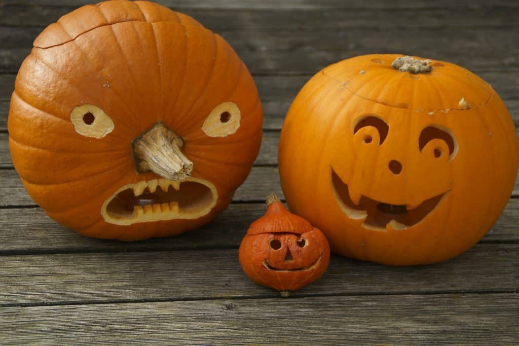 Turn a pumpkin's stem into it's nose when you carve it!