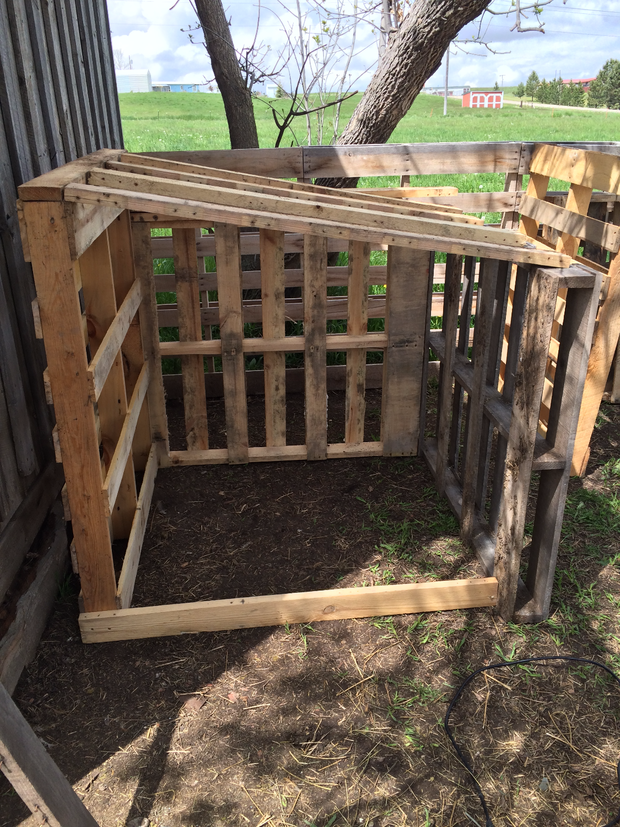 DIY, Easy, Free Goat House with Pictures | A life of Heritage